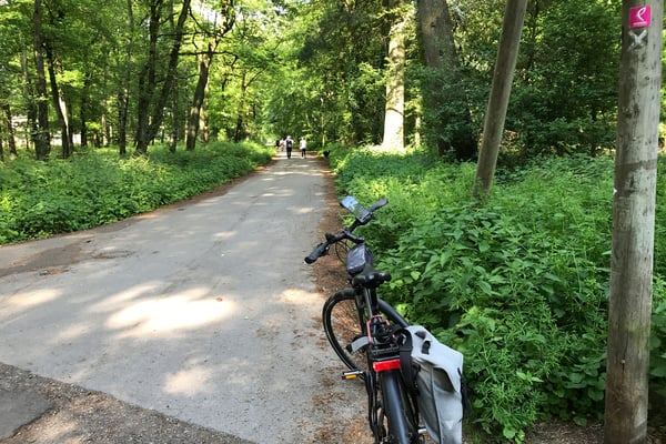 Foto: Thomas Rünker