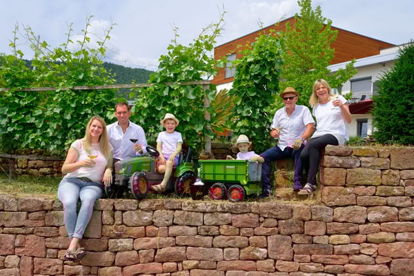 Vinotel und Weingut Helmstetter Bürgstadt
