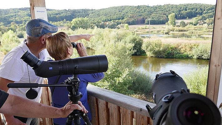 Vogelbeobachtung am Turm