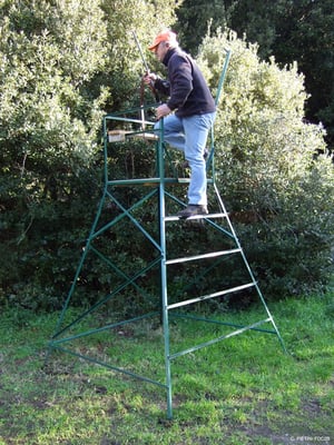 Modèle fait par un forgeron (Tominu)