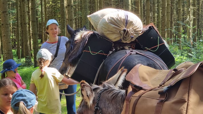 Zunächst waren wir im Wald oder am Waldrand unterwegs.