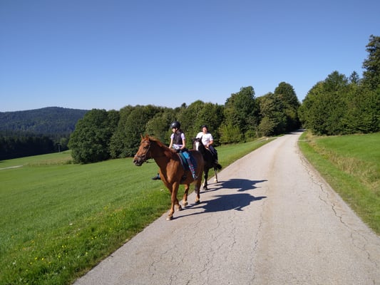 Ausritt mit Stella, Merlyn und Suli (September)