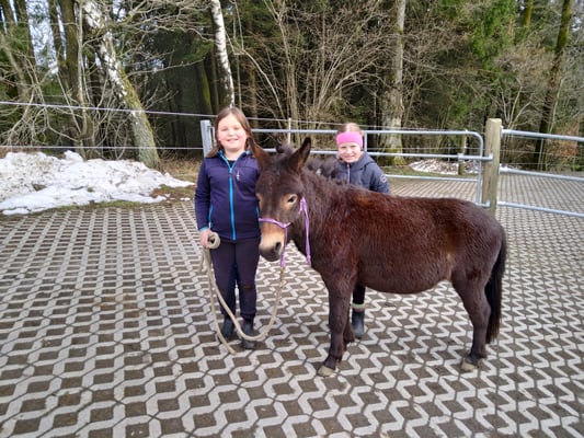 Shymun mit Kindern auf dem Säumerhof