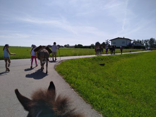 Auf der asphaltierten Straße ging es leichter.