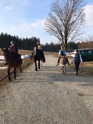 Anke mit Merlyn, Komet, Norbu und Reitschülerinnen nach einem kleinen Ausritt