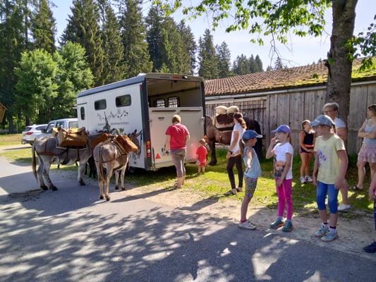 Merlyn (hinter dem Anhänger) trägt die größten Taschen