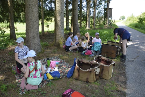 Zum Picknick breiten wir am Waldrand unsere Decken aus.