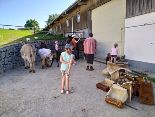 Bürsten und Hufe auskratzen