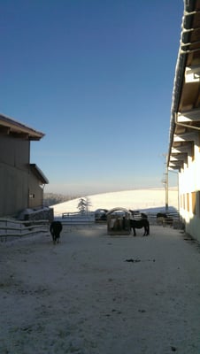 Ferienhof Schoppa-Haisl - Reiturlaub in Sonnen