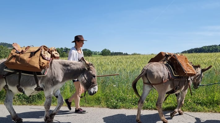 Napoleon möchte immer wieder naschen.