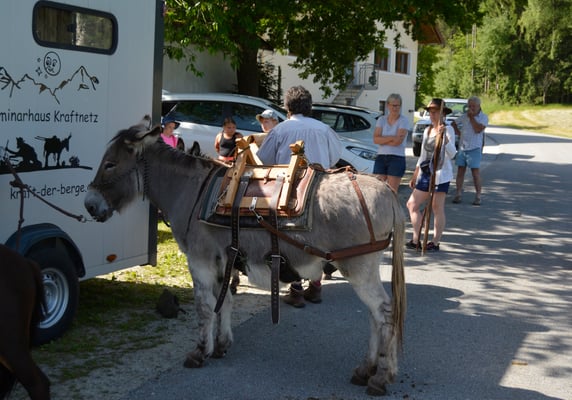 Noch sind die Packsättel leer