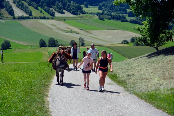 Die letzte Steigung vor unserem Ziel...