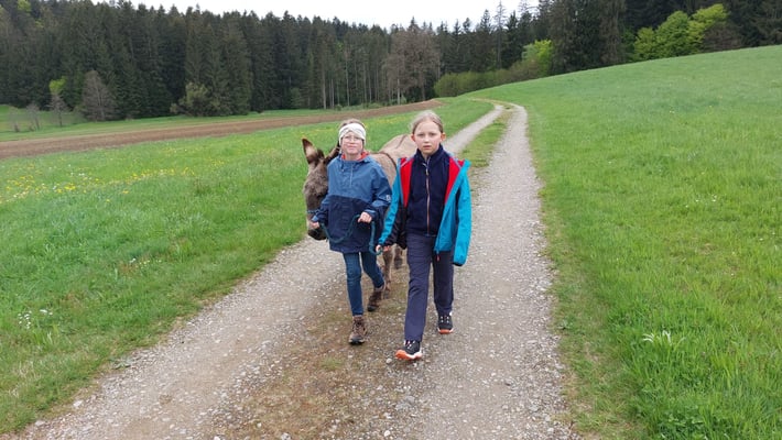 An dritter Stelle läuft Napoleon.