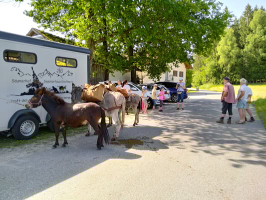 Packtaschen sind verladen