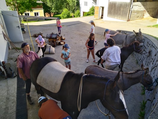 liegt das Pad schön gerade auf Merlyns Rücken?