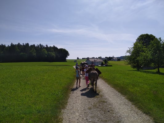 Aber leider in der Sonne.