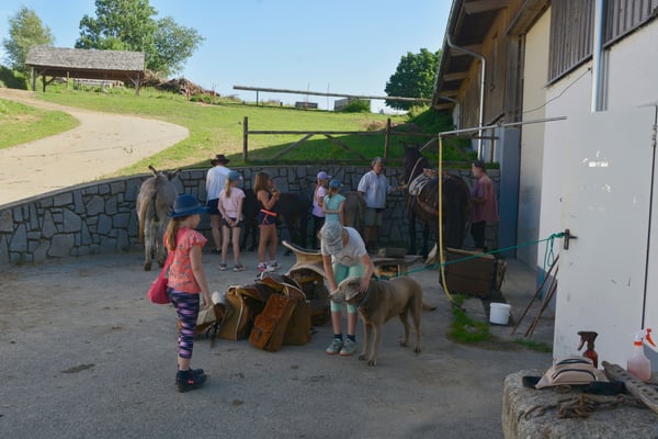 Simo sucht sich noch Streicheleinheiten