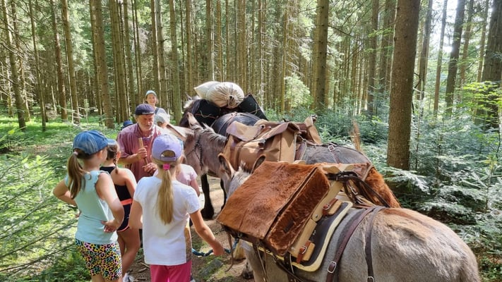 Das Nahrungsangebot war für unsere vierbeinigen Begleiter reichlich und wir mussten immer mal wieder jemanden aus dem Gras helfen.