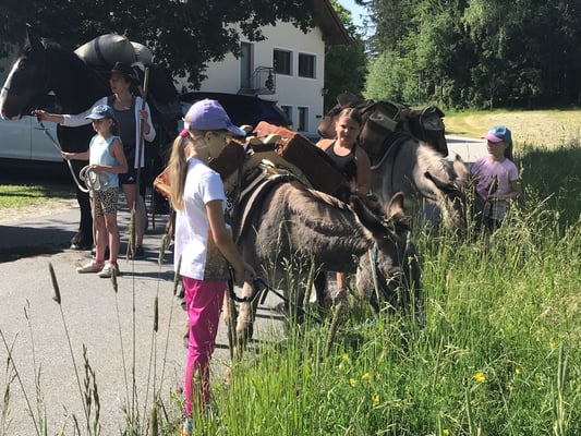 Und dann ist erstmal das Gras am wichtigsten