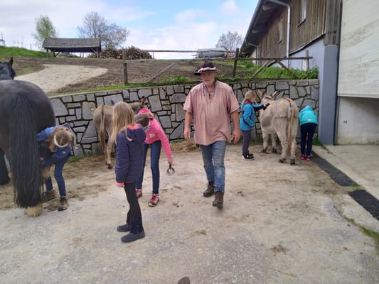 abpacken, Hufe säubern und striegeln.