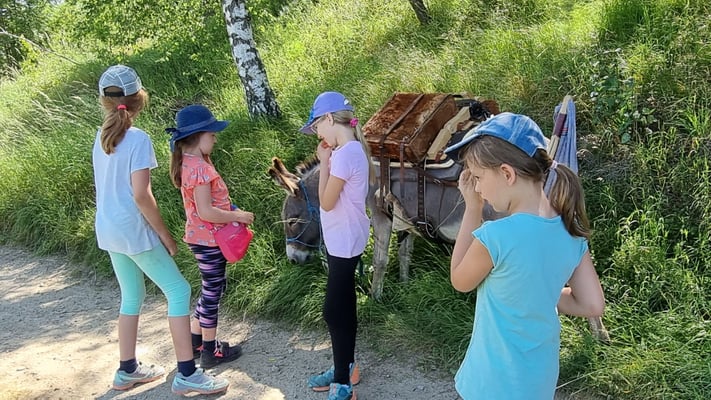 Napoleon hat unsere Getränke getragen.