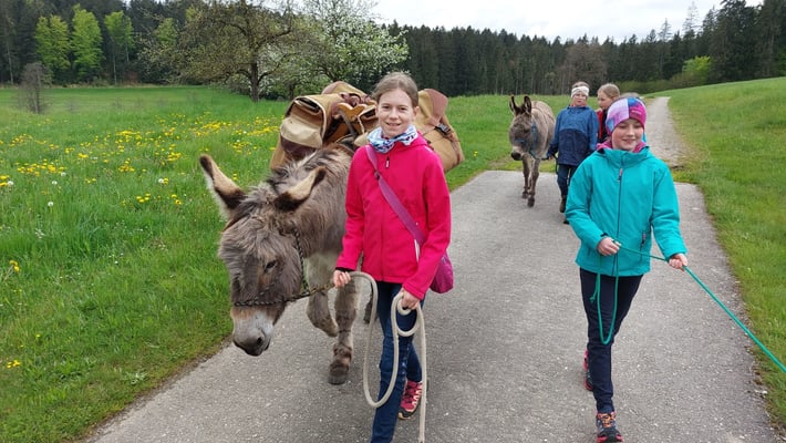 Gleich nach Merlyn folgt Norbu.