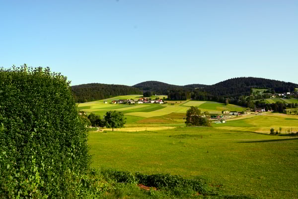 ein schöner Ausblick hinterm Haus...