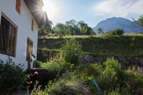 Naturgarten im Attersee-Chalet