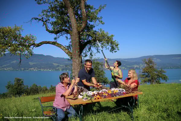 Naturpark Attersee Traunsee zwetschkenreich