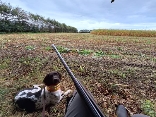 Auf dem Stand bei der Erntejagd