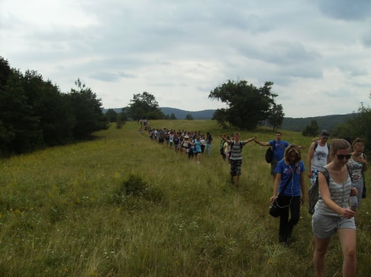 Group walk to explore the nature
