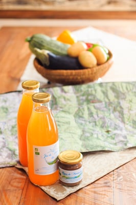 jus de pomme bio des Cévennes