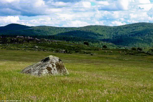 Randonée à Felgerolles