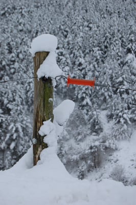 L'hiver à Cros de Géorand (Cathy)