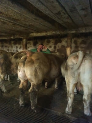 L'hiver à Cros de Géorand (Caroline)