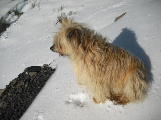 L'hiver à Cros de Géorand (Françoise)