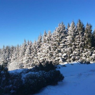 L'hiver à Cros de Géorand (Kees)