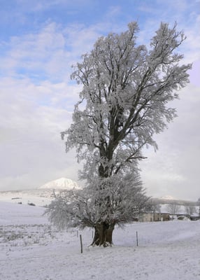 L'hiver à Cros de Géorand (Denis)