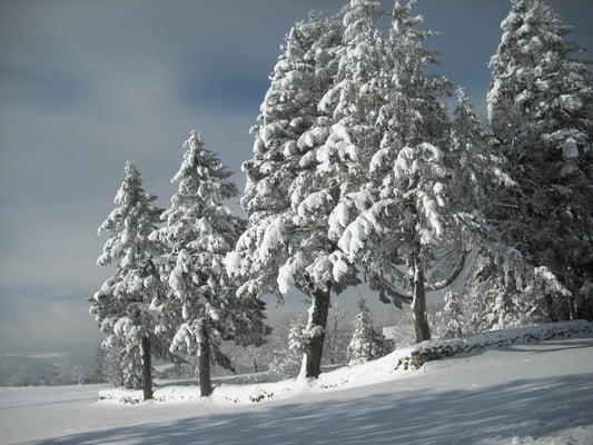 L'hiver à Cros de Géorand (Françoise)