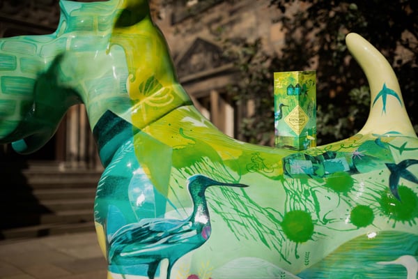 Jill Calder Illustration - General Illustration - The Art of St Andrews Limited Edition -  Scotch Whisky - Packaging - Eden Mill Distillery - photo by Chris Scott Photography