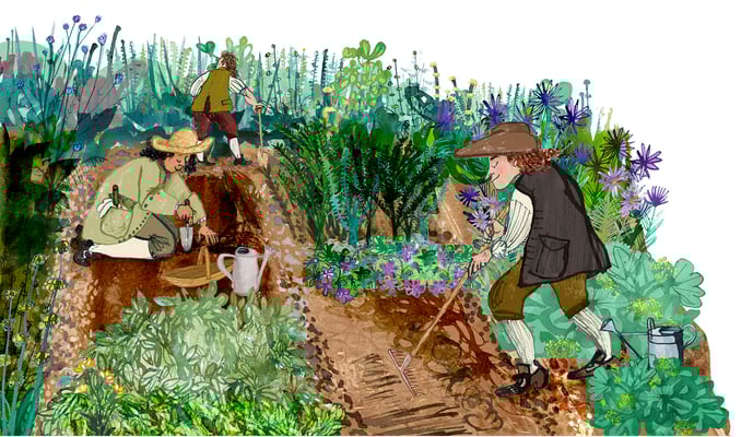 Jill Calder Illustration - General Illustration - Marble Hill House Revived - The Flower Garden - English Heritage