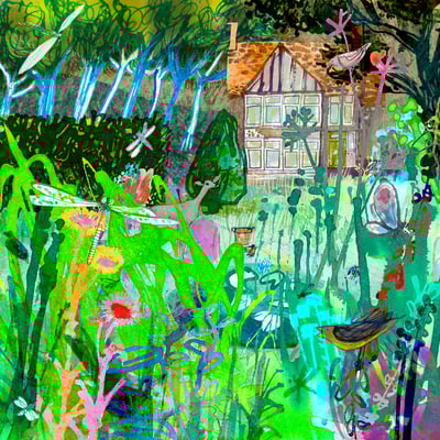 Jill Calder Illustration - General Illustration - ReWilding Your Garden -  Gardens - Lifestyle - Gardens Illustrated Magazine