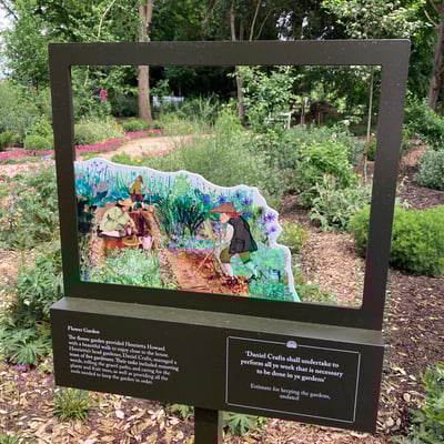 Jill Calder Illustration - General Illustration - Marble Hill House Revived - The Flower Garden interpretive frame - English Heritage