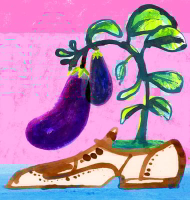 Jill Calder Illustration - General Illustration - Gardens - Nutrition - Lifestyle - Grow Anything Anywhere at Home