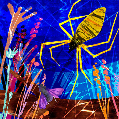 Jill Calder Illustration - General Illustration - Wasp Spider -  Gardens - Lifestyle - Gardens Illustrated Magazine