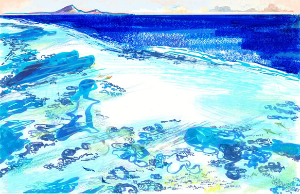 Jill Calder Illustration - General Illustration - Shallow Seas and Coastline