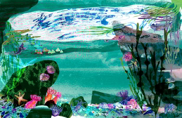 Jill Calder Illustration - Books - "The Sea" by Miranda Krestovnikoff - Bloomsbury