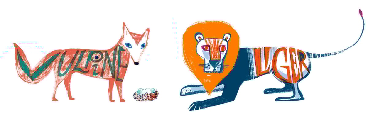 Jill Calder Illustration - Lettering