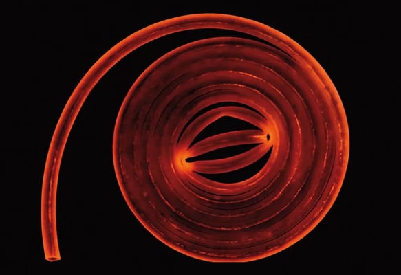 Hans Kupelwieser, Ohne Titel, Fotogramm auf Film auf pulverbeschichtetem Aluminium, 70 x 100 cm