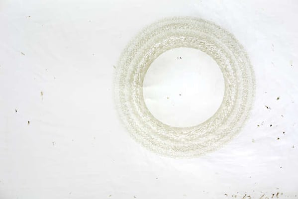 MARTINA KRESTA, Aufzeichnungen 6.Februar 2002 - 5.Februar 2003, 12 Federzeichnungen mit Eigenblut, Ø 40cm